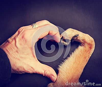 Person and a dog making a heart shape with the hand and paw to Stock Photo