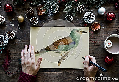 Person drawing bird on a Christmas wishing card Stock Photo