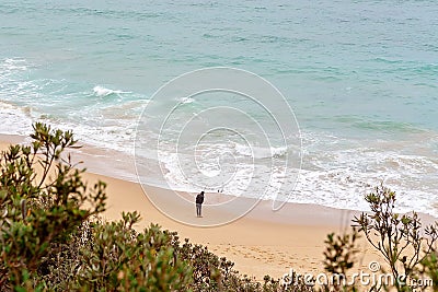 A Person Fishing On A Beach Editorial Stock Photo