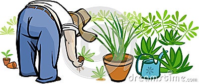 Person Gardening Vector Illustration