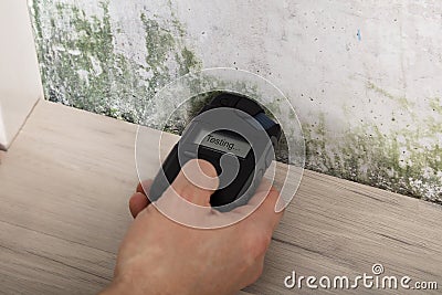 Person Hand Testing The Moldy Wall Stock Photo