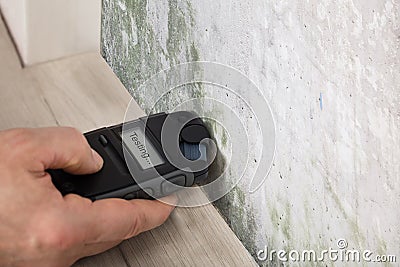 Person Hand Testing The Moldy Wall Stock Photo