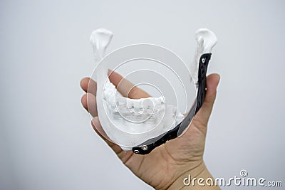 Person holding in hand 3D printed prototype human lower jaw and titanium implant Stock Photo