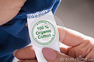 Person Holding Label Showing 100 Percent Organic Cotton Stock Photo