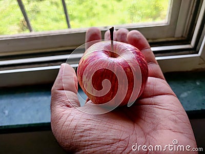 A person holding a small bight red ripen apple in hand Stock Photo