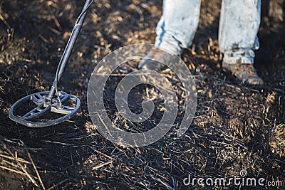 A person with a metal detector in a field, search for coins, hobbies Stock Photo