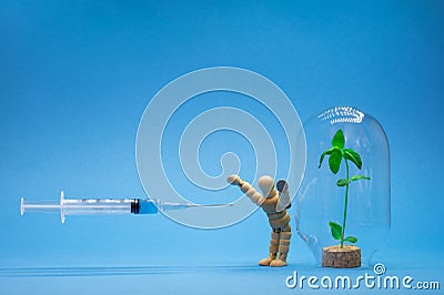 A person protects his immune system in the form of a green sprout in a flask from a vaccine with a syringe. Background Stock Photo
