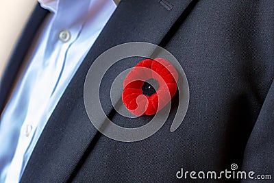 A Person with a remembrance day poppy flower on a black suit Stock Photo