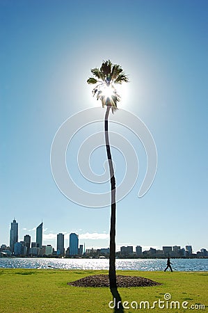 Person on walk among palm tree and river cityline Stock Photo