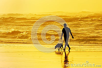 Person walking the dog on beach Stock Photo