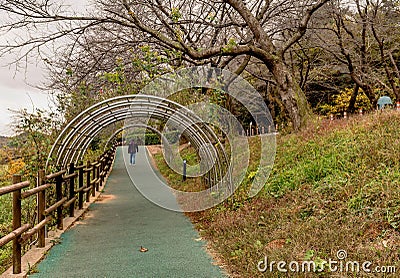 Person walking under metal trellis in local park Editorial Stock Photo