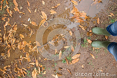 A person wearing a pair of traditional green rubber wellington boots in a forest. Rainy autumn with leaves on the ground Stock Photo