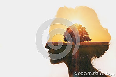 Personal development and business idea career concept. Stock Photo