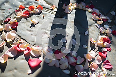 persons shadow over heart outline and scattered petals Stock Photo