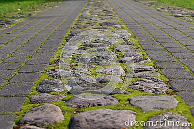 Perspective of country cobblestone road. Grass and moss sprout between the road stones Stock Photo