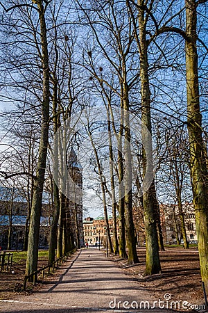 Perspective outdoor view of trees without leafs in a row at a city parkway in early spring. Stock Photo