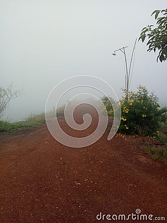 Perspective Photo Of Narrow Rural Dirt Road With Tropical Trees Blurring Into Heavy Mist Stock Photo