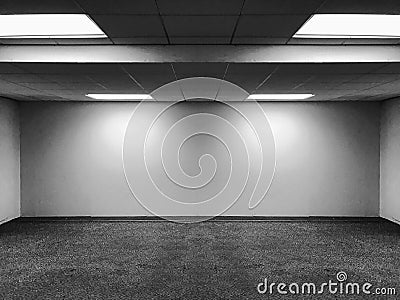 Perspective view of Empty Space Classic Office Room with Row Ceiling LED Light Lamps and Lights Shade on Wall for Gallery Interior Stock Photo