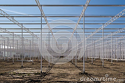 Perspective view on the framework of an industrial glass greenhouse under construction in the Netherlands. Stock Photo