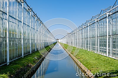 Perspective view of a modern industrial greenhouse for tomatoes in the Netherlands Stock Photo