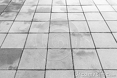 View Monotone Gray Brick Stone Pavement on The Ground for Street Road Stock Photo