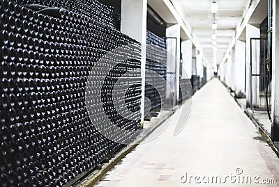 Wine bottles in vinery wine cellar Stock Photo