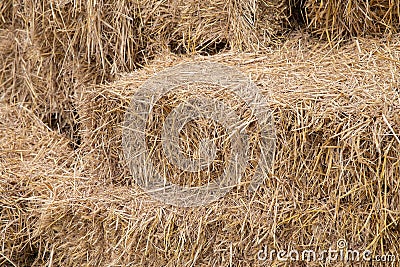 Perspective view of a straw pile after harvest. Stock Photo