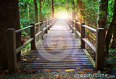 Perspective of wood bridge in deep forest crossing water stream Stock Photo