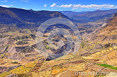 Peru Colca Valley, Terrace Cultivation. Stock Photo