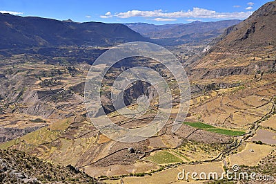 Peru, Colca Valley, Terrace Cultivation Stock Photo