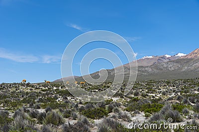 Peru Mountain Stock Photo