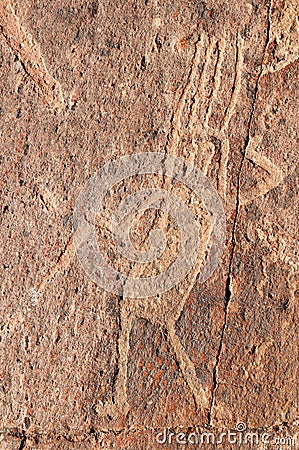 Peru, Toro Muerto Petroglyphs Stock Photo