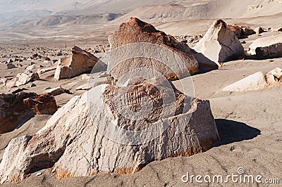 Peru, Toro Muerto Petroglyphs Stock Photo