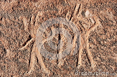 Peru, Toro Muerto Petroglyphs Stock Photo