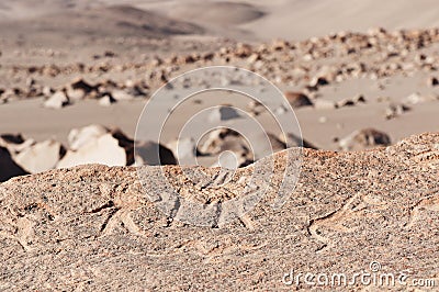 Peru, Toro Muerto Petroglyphs Stock Photo