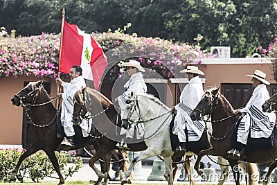 Peru traditional paso horses with chalan with their typical clothes on a hacienda with their Peruvian flag Editorial Stock Photo