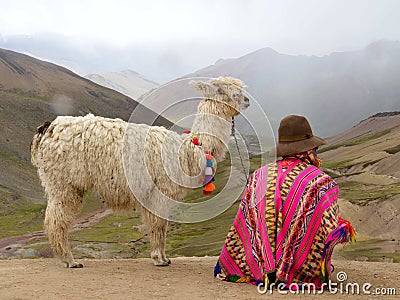 Peruvian alpaca and handler Stock Photo