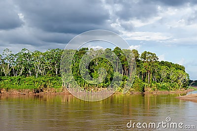 Peruvian Amazonas Stock Photo