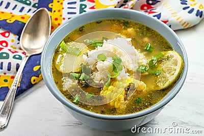 Peruvian Cilantro Chicken Soup Stock Photo