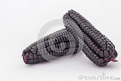 Peruvian purple corn (maiz morado), which is mainly used to prepare juice called chicha morada. Stock Photo