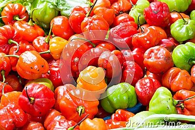 Peruvian Rocoto Chili peppers Stock Photo