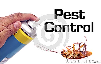 شركة المثالية الدولية للنظافة بالدمام 0550091502 الخبر والقطيف والجبيل Pest-control-13791799