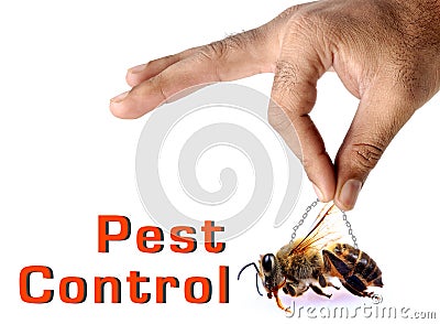 Pest Control Royalty Free Stock Image - Image: 24844656