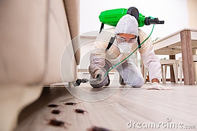 The pest control contractor working in the flat Stock Photo