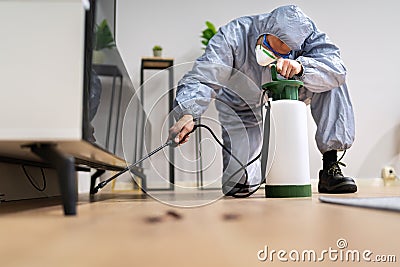Pest Control Exterminator Man Spraying Termite Pesticide Stock Photo