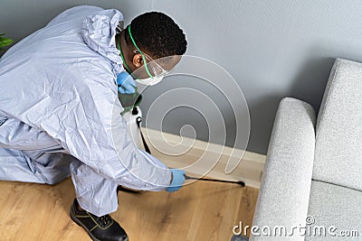 Pest Control Exterminator Services Spraying Termite Stock Photo