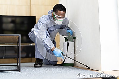 Pest Control Exterminator Services Spraying Termite Stock Photo