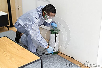 Pest Control Exterminator Services Spraying Termite Stock Photo