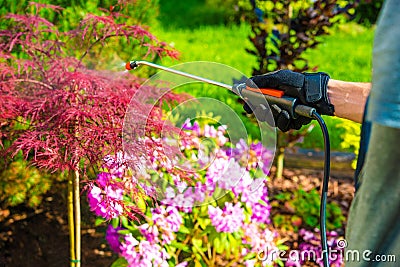 Pest Control in the Garden Stock Photo