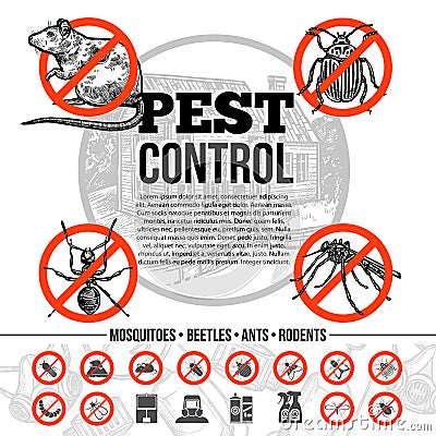 Pest Control Infographics Vector Illustration